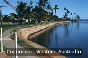 Carnarvon, Western Australia
